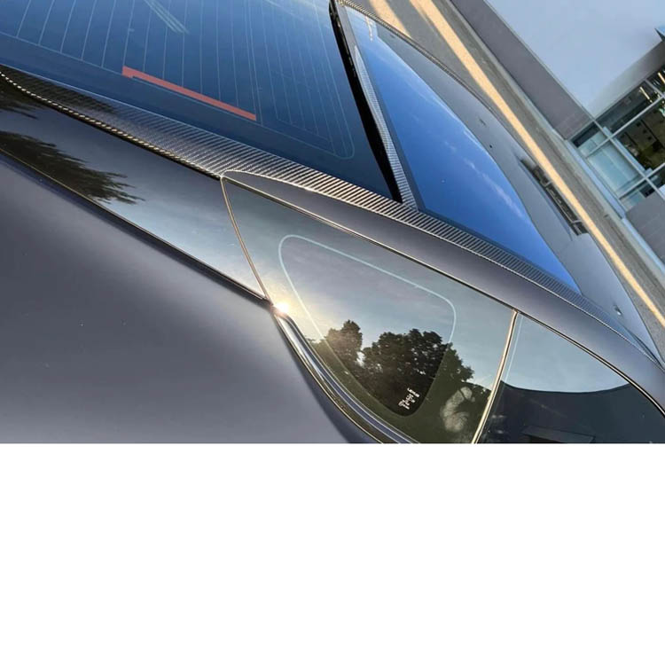 Under Suzuki dry carbon roof